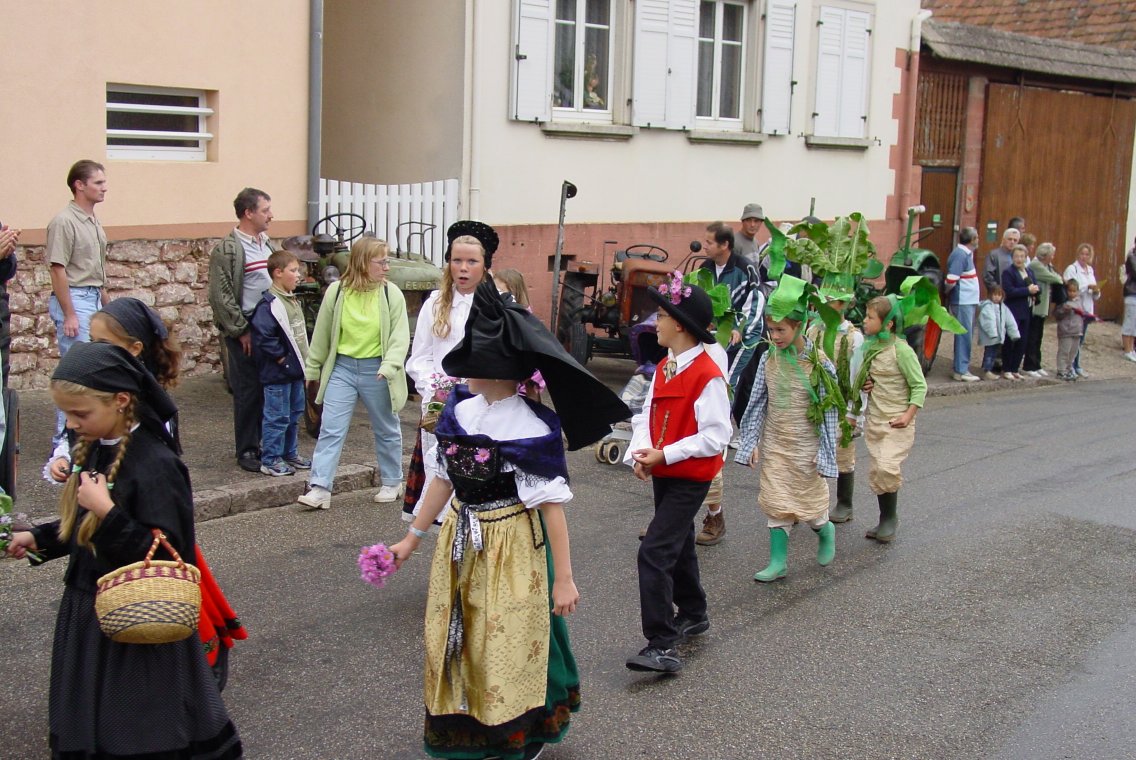 Dsc01339.jpg